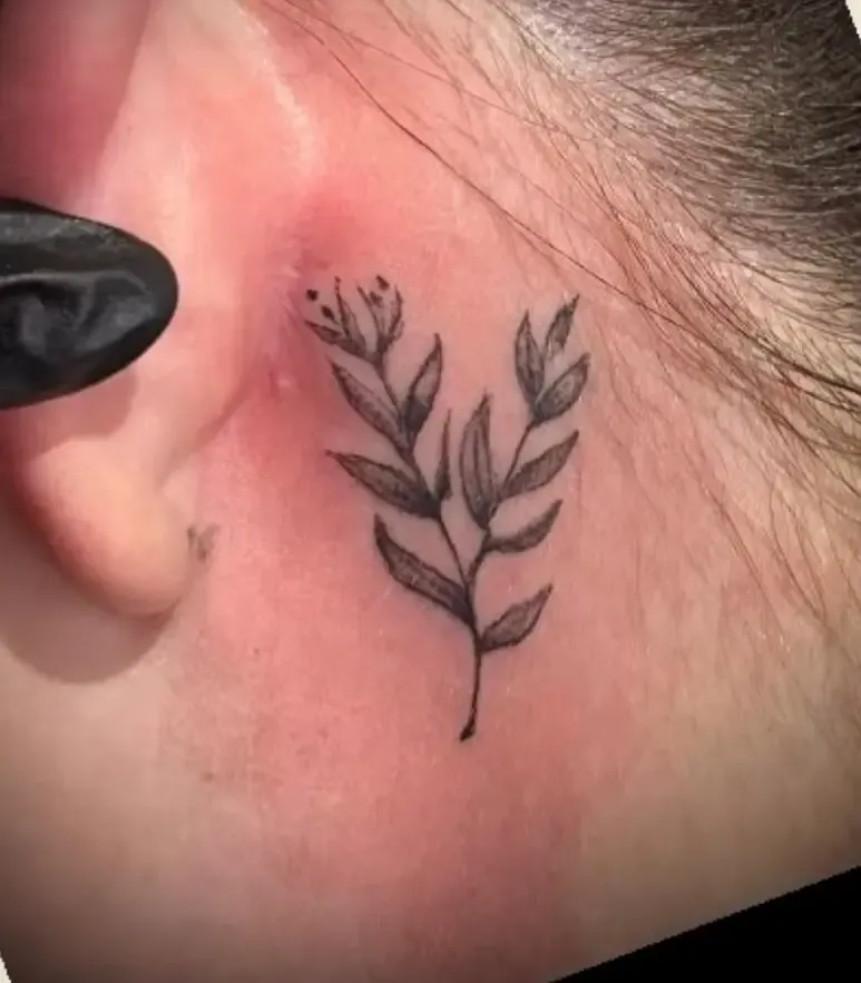 Delicate fine-line botanical branch tattoo behind the ear